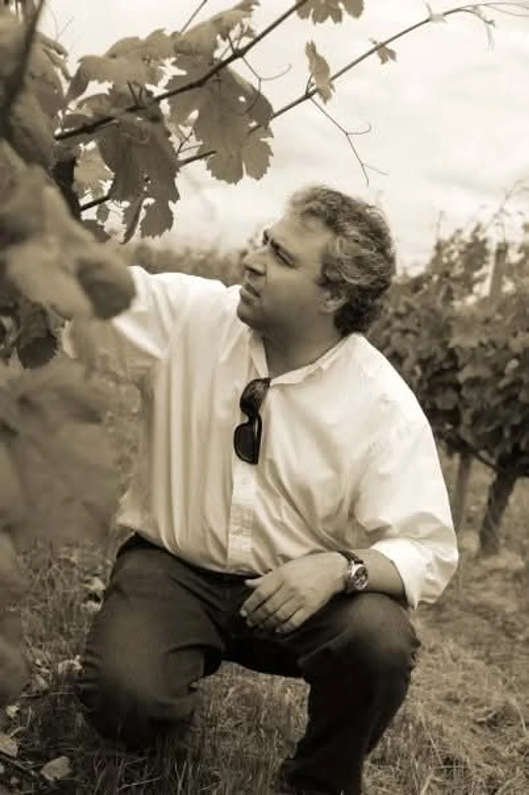Cover image for article: Coming Home: Why We Brought 93% of Our Production Back to Portugal